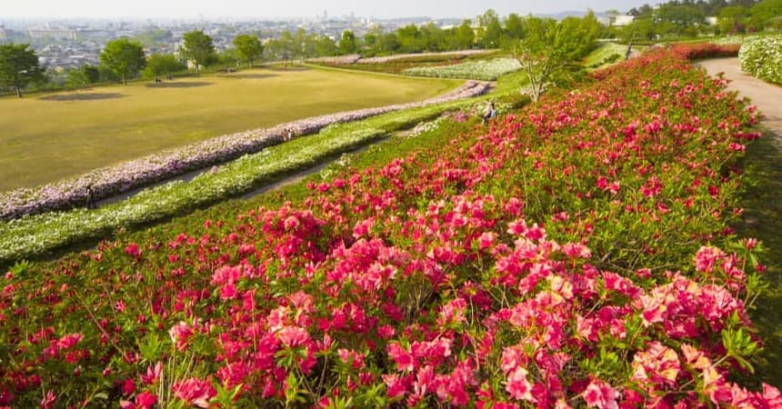 大乗寺丘陵公園