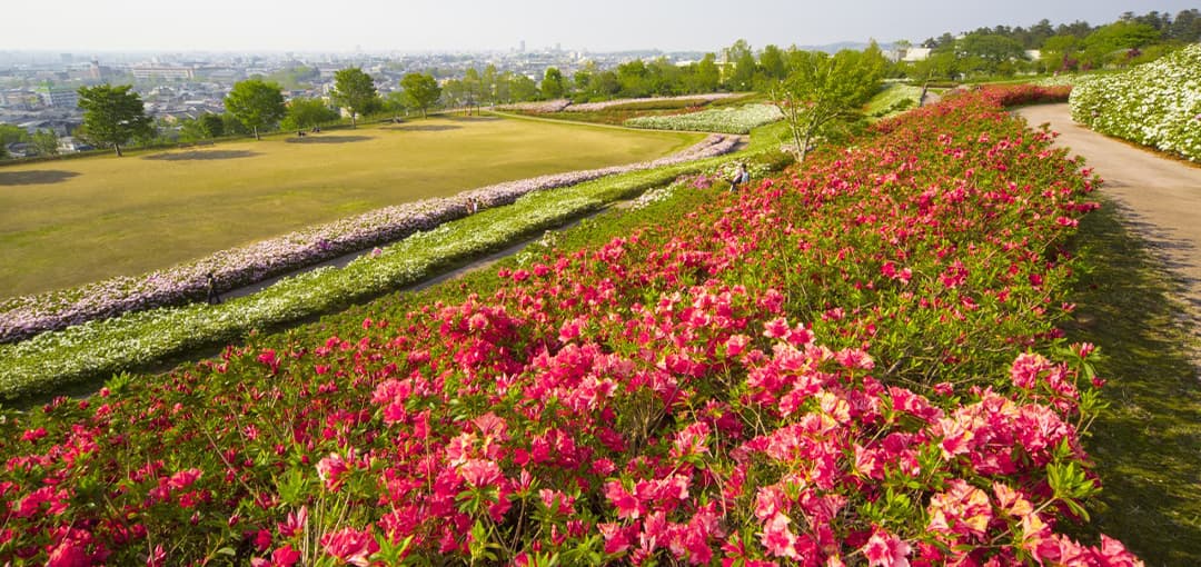 大乗寺公園