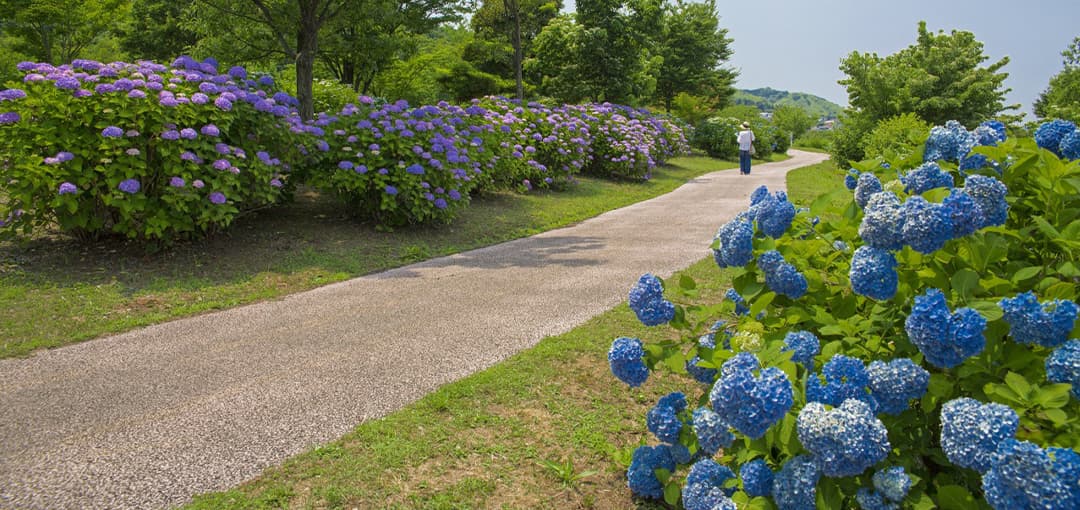 大乗寺公園
