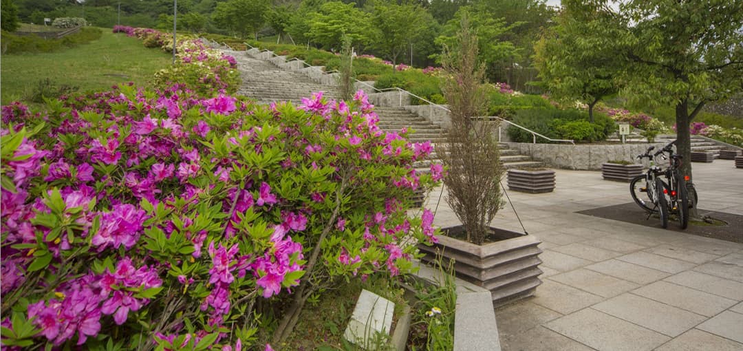 大乗寺公園