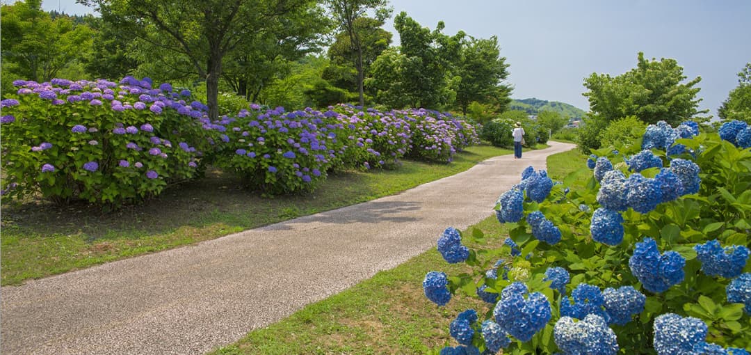 大乗寺公園