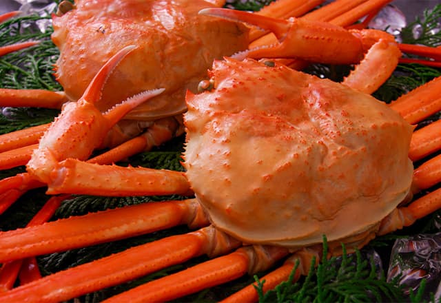 日本海の恵み、冬季限定の味わい