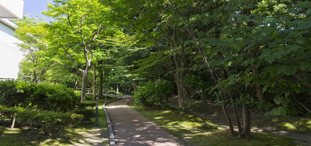 県立美術館
